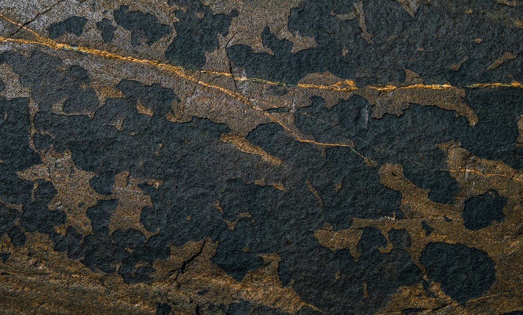Golden Vein, Salmon Beach, Near Ucluelet, British Columbia, Canada