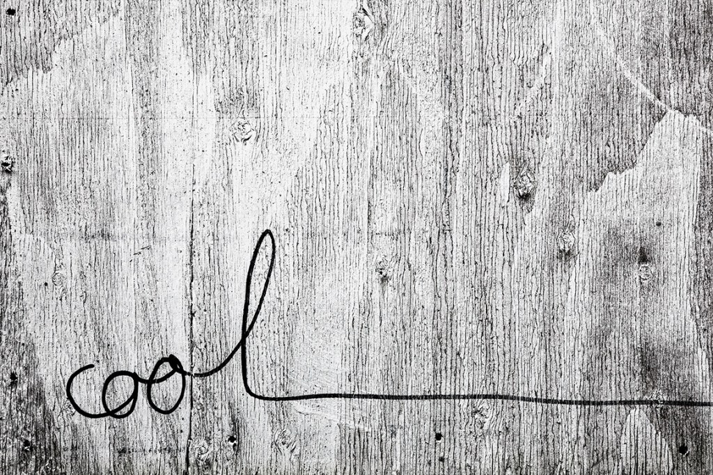 Old Wood Cool, Downtown Eastside Alley, Vancouver, British Columbia, Canada