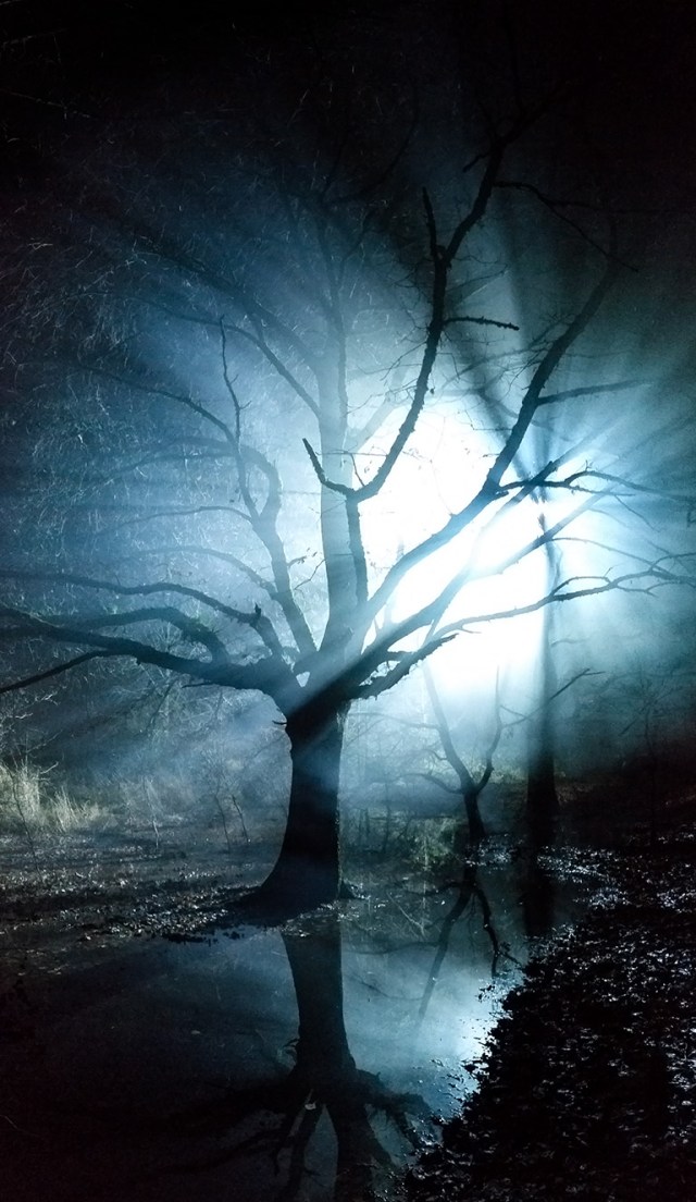 Eerie Light, Boundary Bay, Delta, British Columbia, Canada