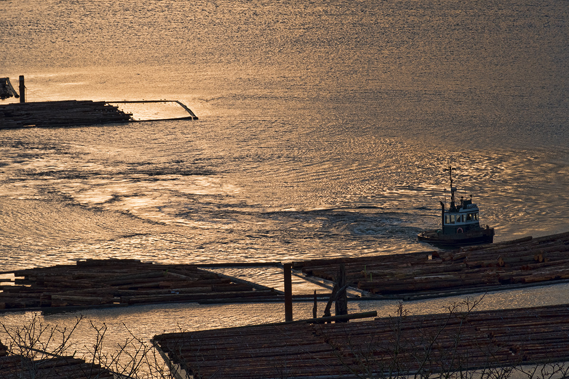 Tugboat and Log Booms, Pacific Spirit Regional Park, Vancouver, British Columbia, Canada