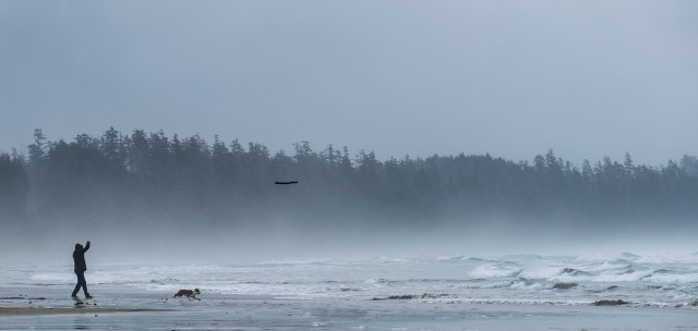 Fetch! Long Beach, Pacific Rim National Park, Vancouver Island, British Columbia, Canada