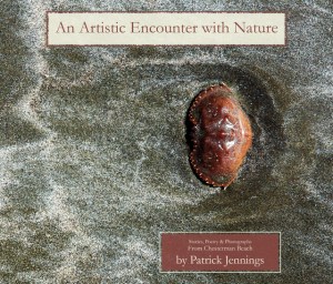 An Artistic Encounter With Nature: Stories, Poems and Photographs From Chesterman Beach, by Patrick Jennings