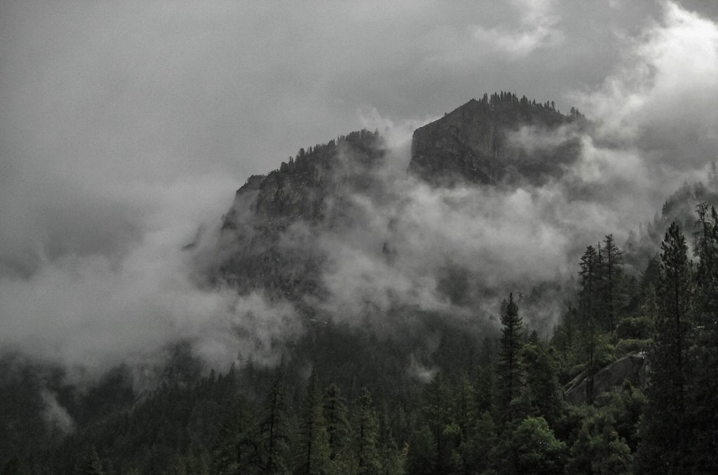 Obscured Emergence, Yosemite National Park, California, United States of America