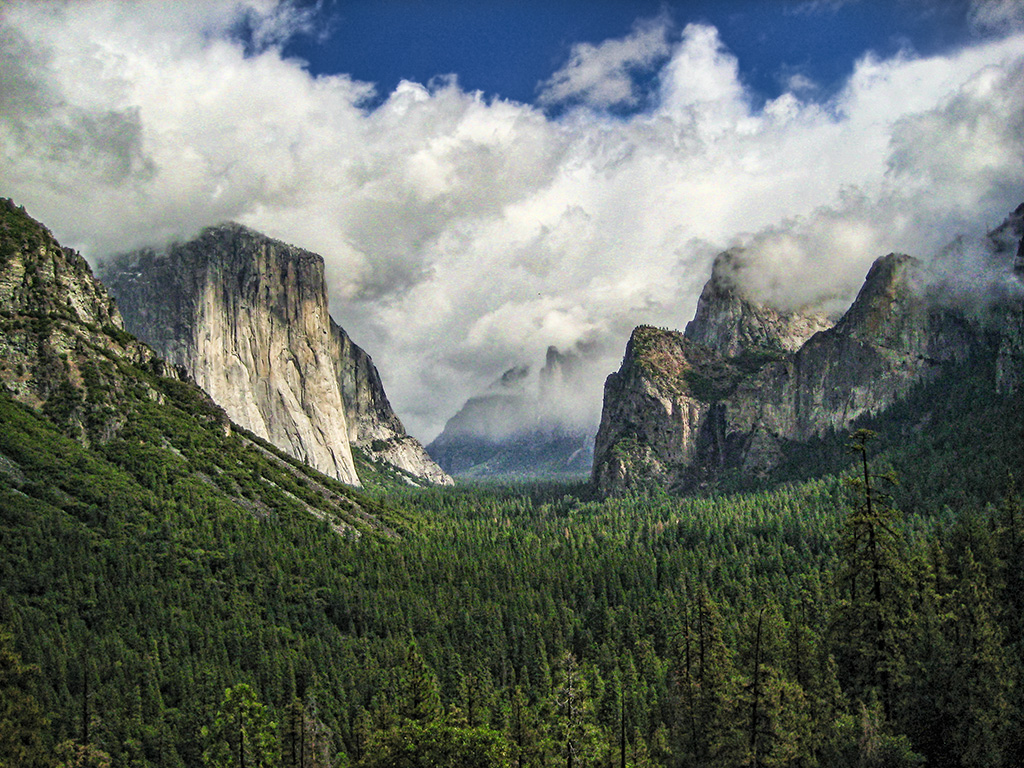 Perfect Valley, Yosemite National Park, California, United States of America