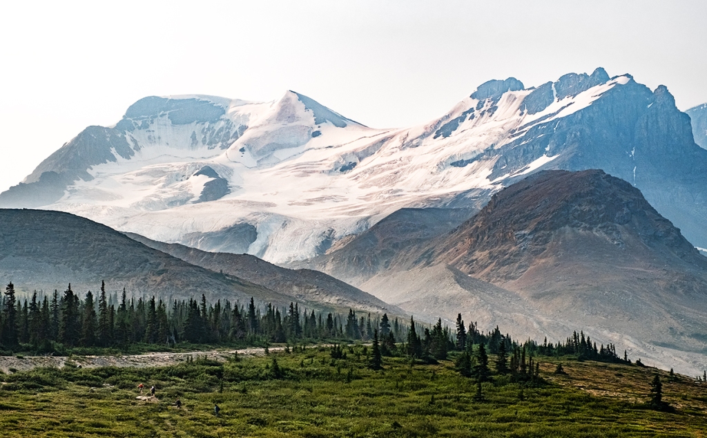 mount athabasca, jasper national park, alberta, canada