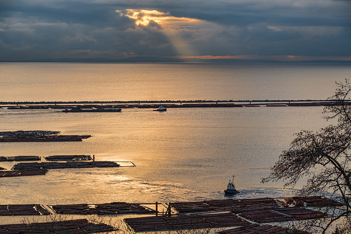 Tugboats and Log Booms, Strait of Georgia, From Pacific Spirit Regional Park, Vancouver, British Columbia, Canada