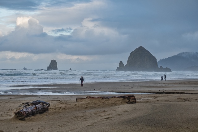 Locals and Tourists, Cannon Beach, Oregon, United States of America