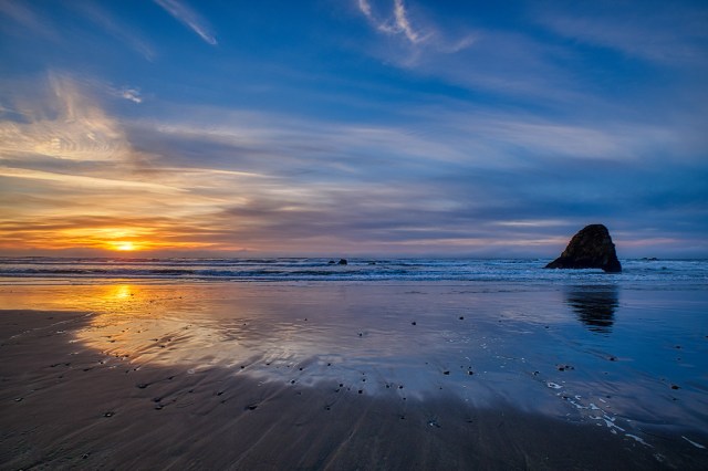 Paroxysm of Colour; Oregon Coast Highway, Oregon, United States of America