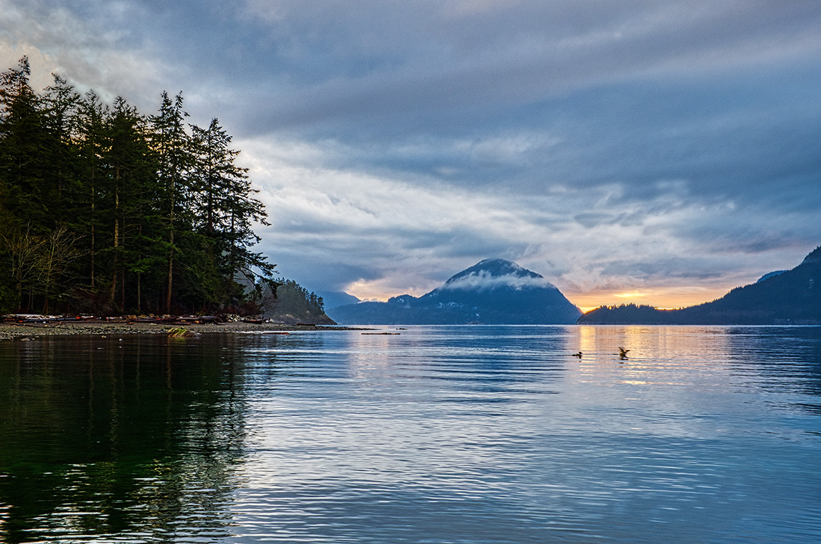 Take Flight, Porteau Cove Provincial Park, Sea to Sky Highway, Howe Sound, British Columbia, Canada