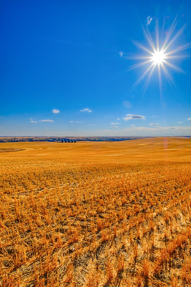 Post Harvest, Drumheller, Alberta, Canada