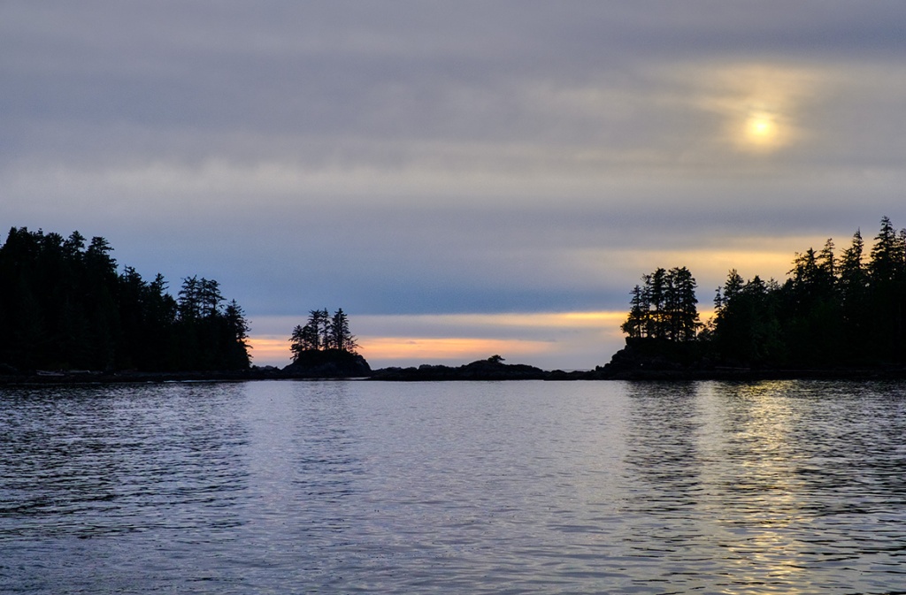 Soft Light and Silhouettes, Food Islets, Near Ucluelet, Vancouver Island, British Columbia, Canada