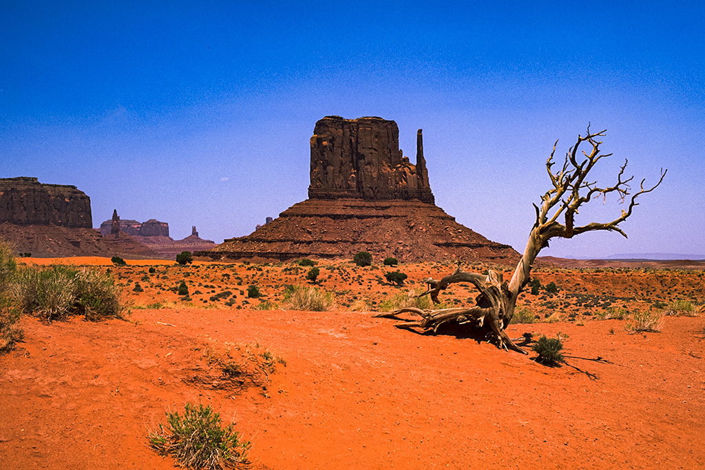 Death in the Sunshine, West Mitten Butte, Monument Valley Navajo Park, Arizona, United States of America