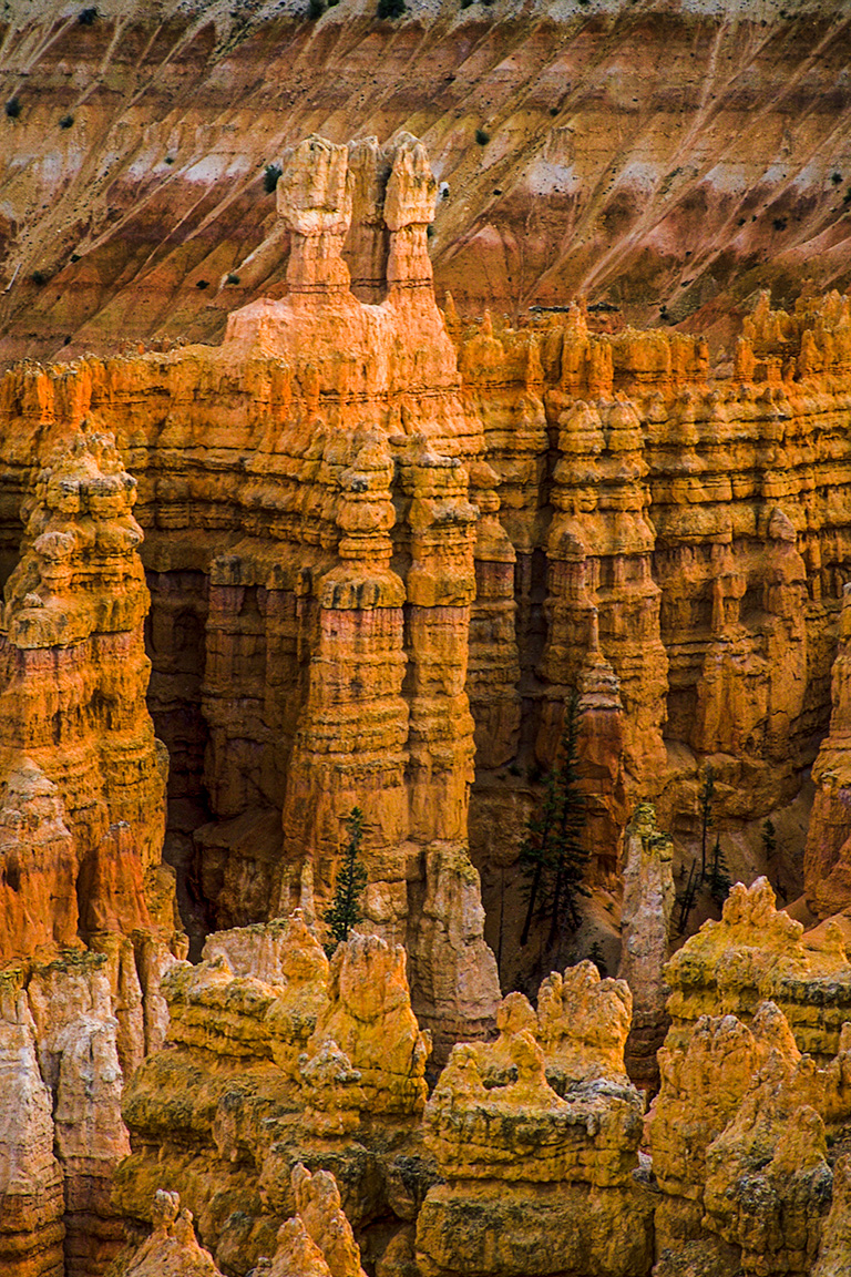Erosion, Hoodoos, Bryce Canyon National Park, Utah, United States of America