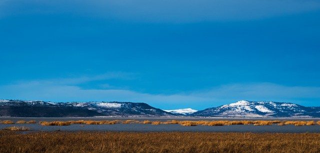 Solitude, Goose Lake State Park, New Pine Creek, Oregon, United States of America