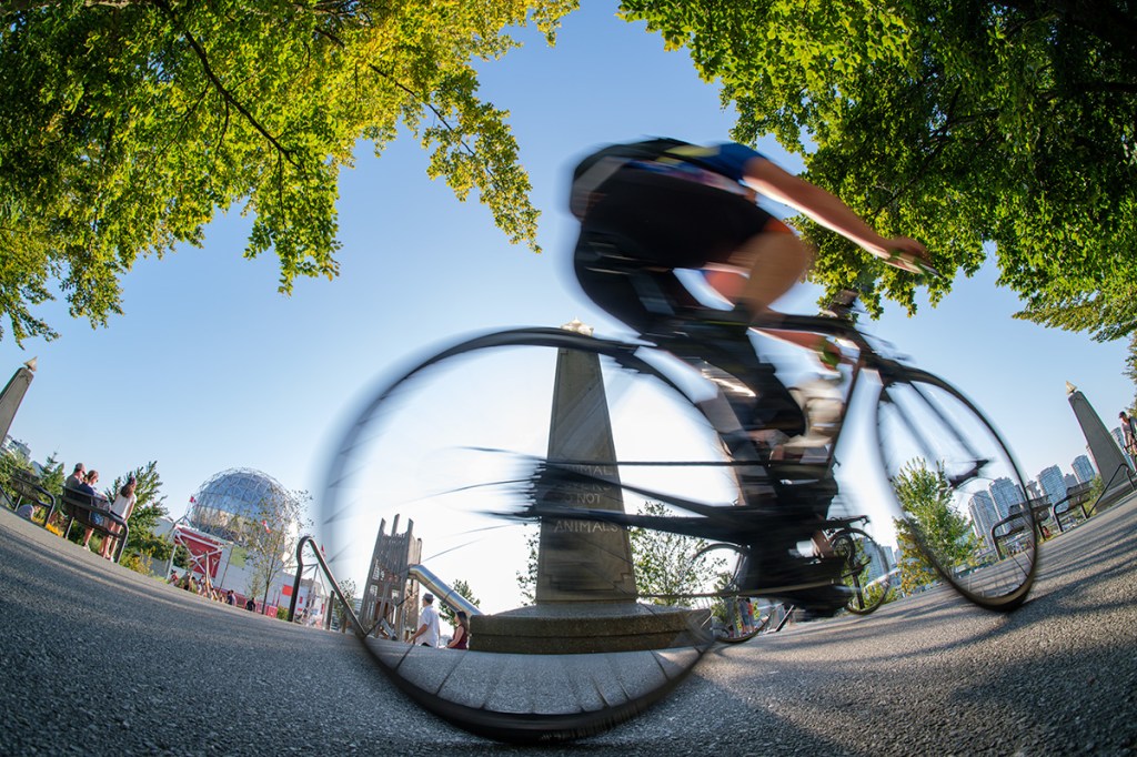 Flight, Creekside Park, Vancovuer, British Columbia, Canada