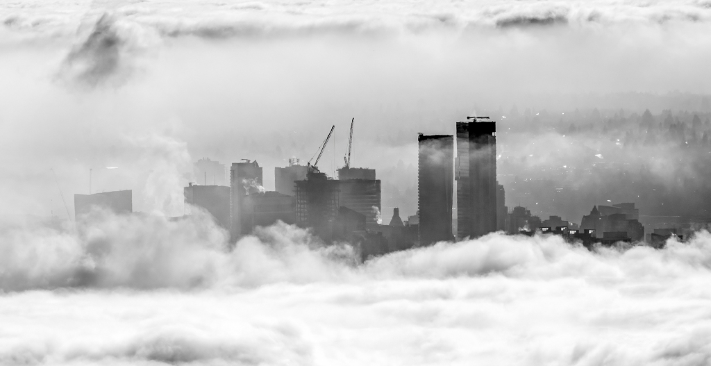 Beauty Rises from the Fog, Vancouver, Britsh Columbia, Canada
