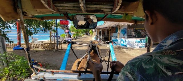 Horse Cart, Island of Gili Air, Gili Islands, Lombok, Indonesia