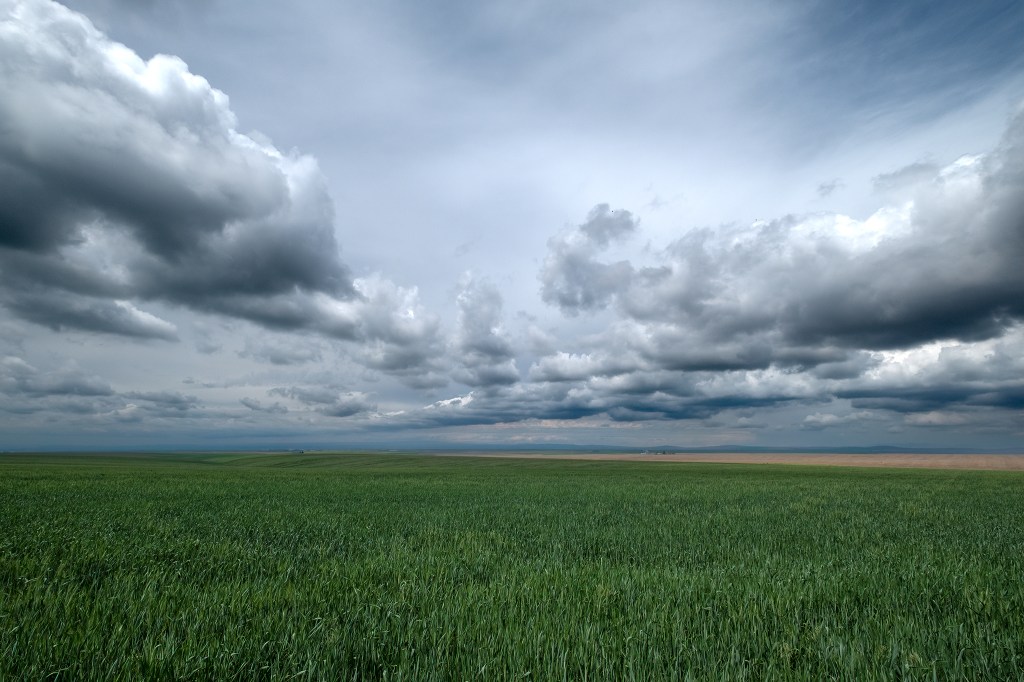 Expanses, Plymouth Road, Badger, Washington, United States of America