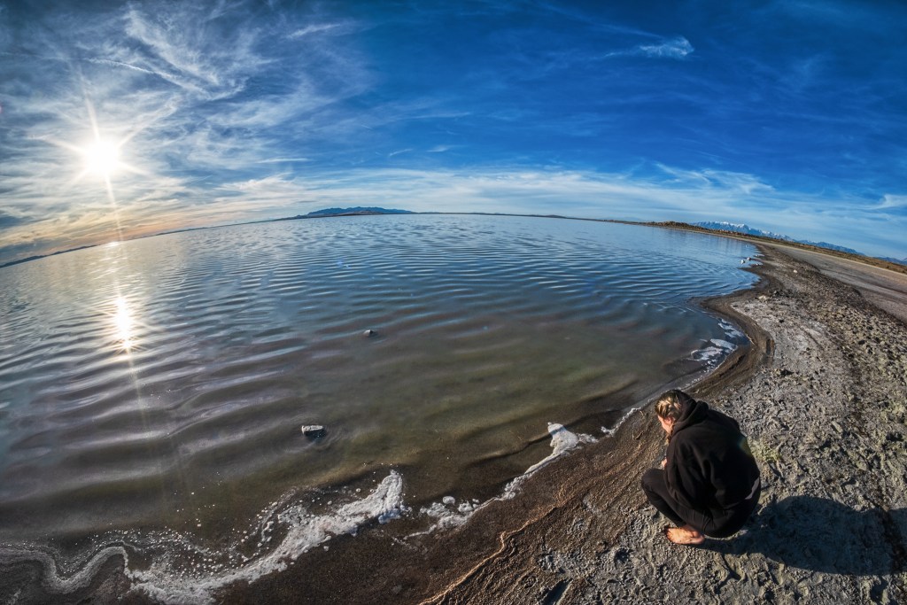 Wonder in the Smallest Things, Bridger Bay, Antelope Island State Park, Great Salt Lake, Utah, USA