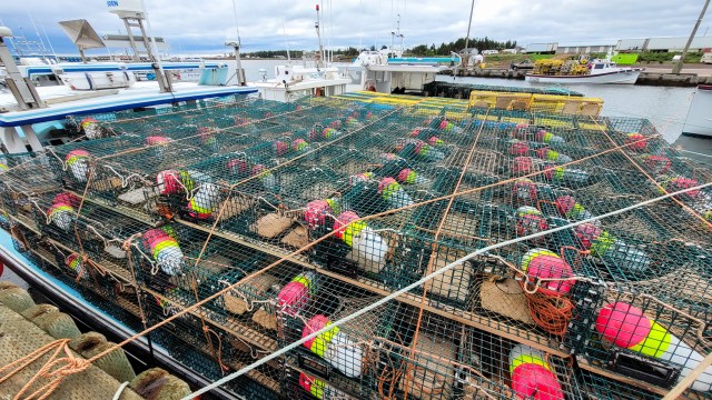 Lobster Boats, Botsford Parish, Straight Shores, New Brunswick, Canada
