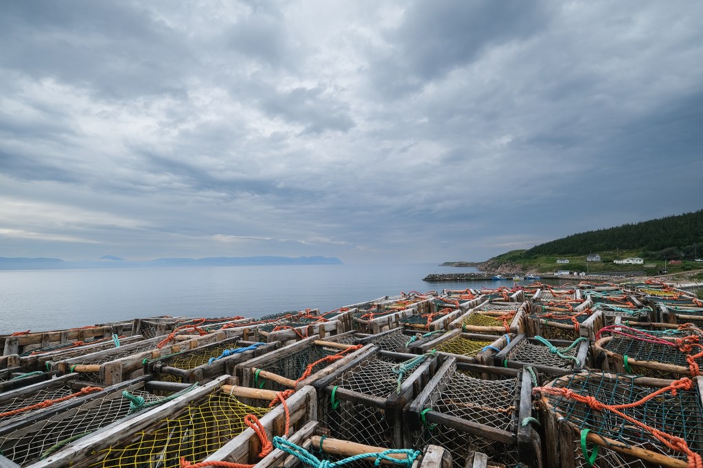 Lobster Traps & Harbour, North Victoria Six Ports Harbour, White Point, Cape Breton, Nova Scotia, Canada