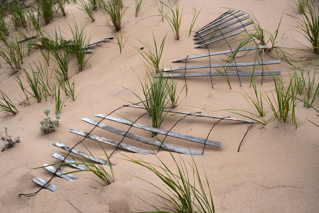 Serpentine Sannd Fence, Basin Head Provincial Park, Prince Edward Island, Canada