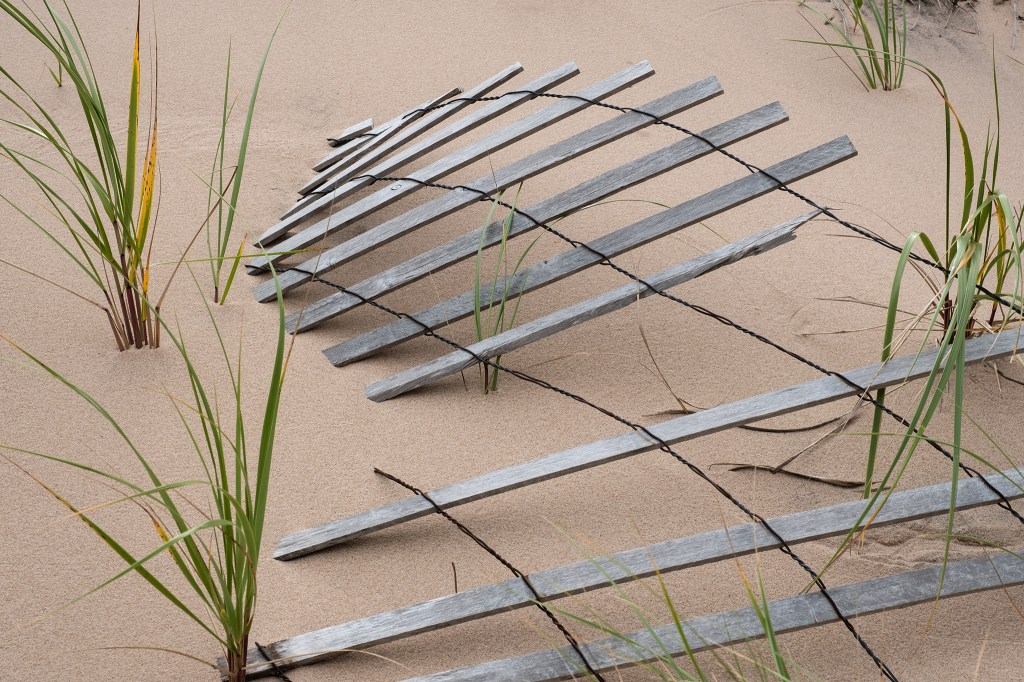 She Flowed Like a River, Downed Sand Fence, Basin Head Provincial Park, Prince Edward Island, Canada