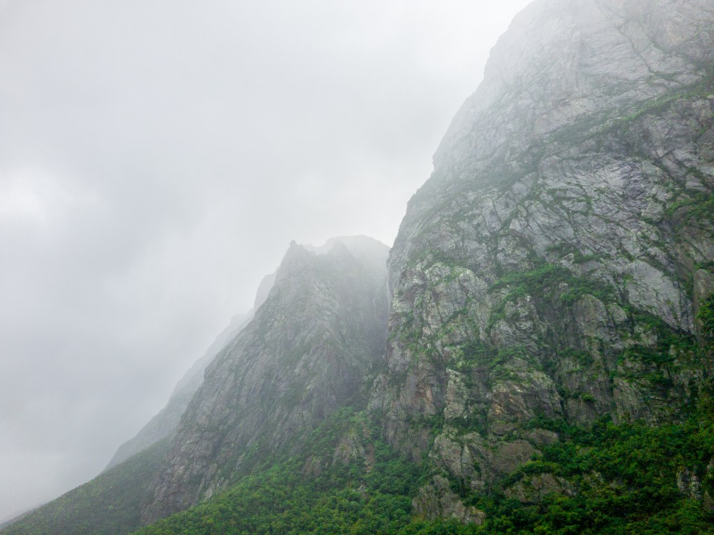Tenacious Life, Western Brook Pond, Gros Morne National Park, Newfoundland, Canada