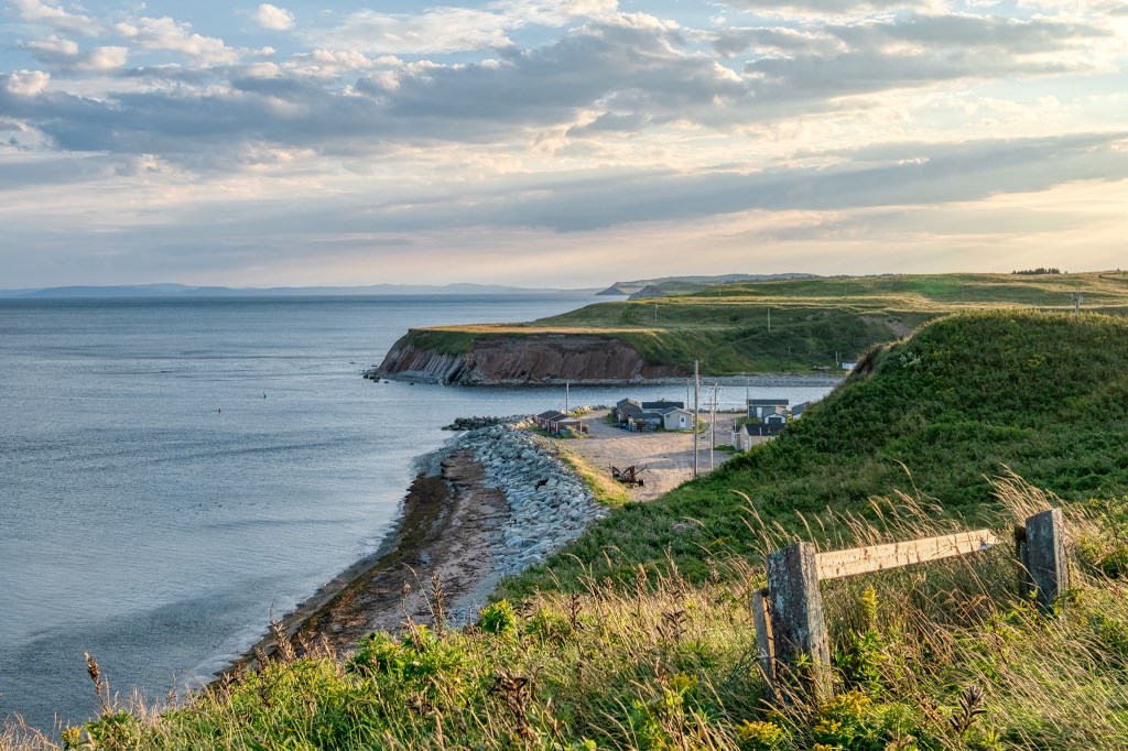 Top 'o the Mornin' to ya!, St. David's (Crabbe's River) Harbour, Newfoundland (and Labrador), Canada