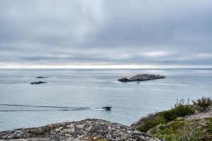 Disturbed Calm, Manito Miikana Trail, Pukaskwa National Park, Ontario, Canada
