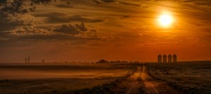 Dust on the Prairie Wind, Empress, Alberta, Canada
