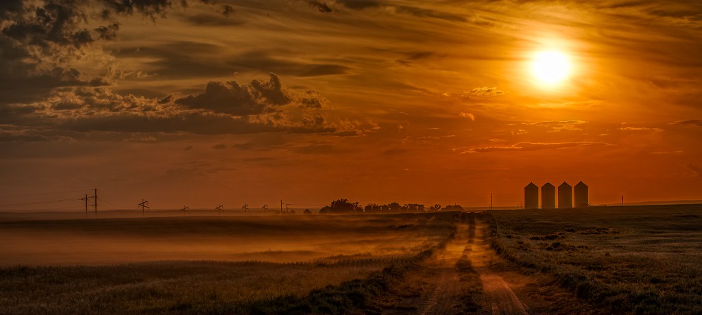 Dust on the Prairie Wind, Empress, Alberta, Canada