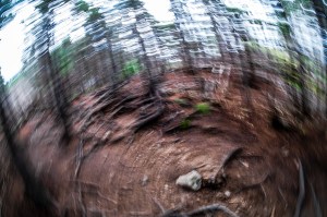 Spin, Middle Head Trail, Cape Breton Highlands National Park, Nova Scotia, Canada
