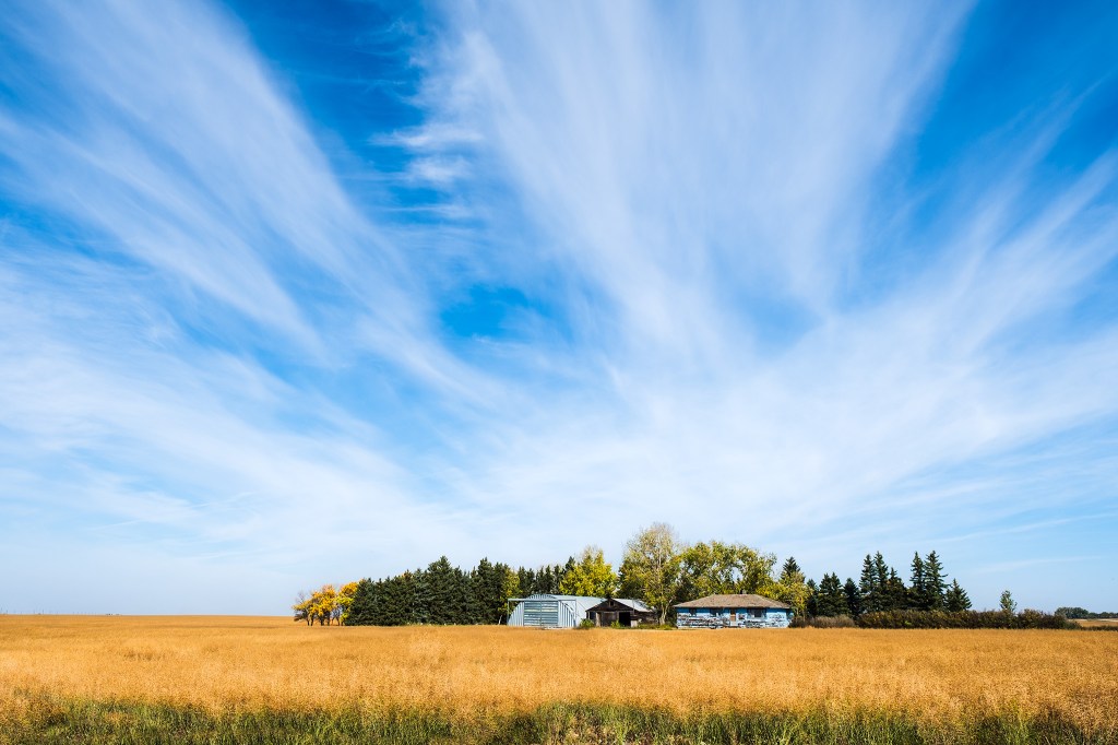 Abandoned Homestead on a Sun Saturated Plain, Pitman, Saskatchewan, Canada