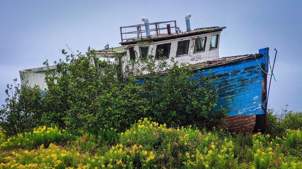 Penny Lane, Marie Joseph, Nova Scotia, Canada