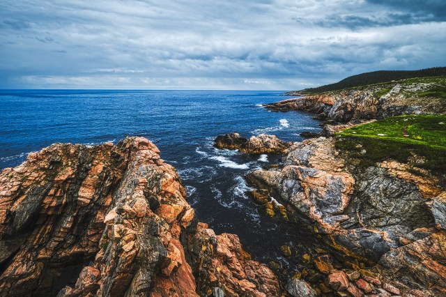 Storm Hardened, White Point, Cape Breton, Nova Scotia, Canada