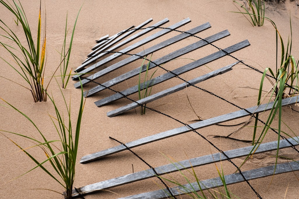 Burrowing Sand Fence, Basin Head Provincial Park, Prince Edward Island, Canada