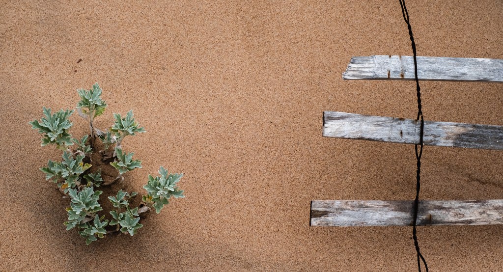 Defiance, Basin Head Provincial Park, Prince Edward Island, Canada