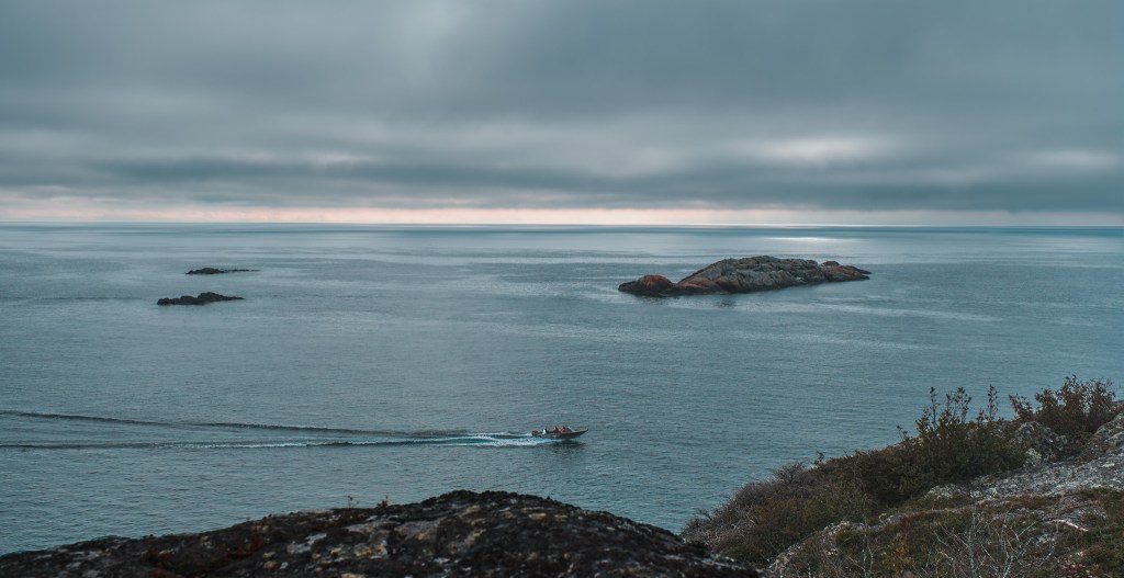 Glee in the Grey, Lake Superior, Pukaskwa National Park, Ontario, Canada