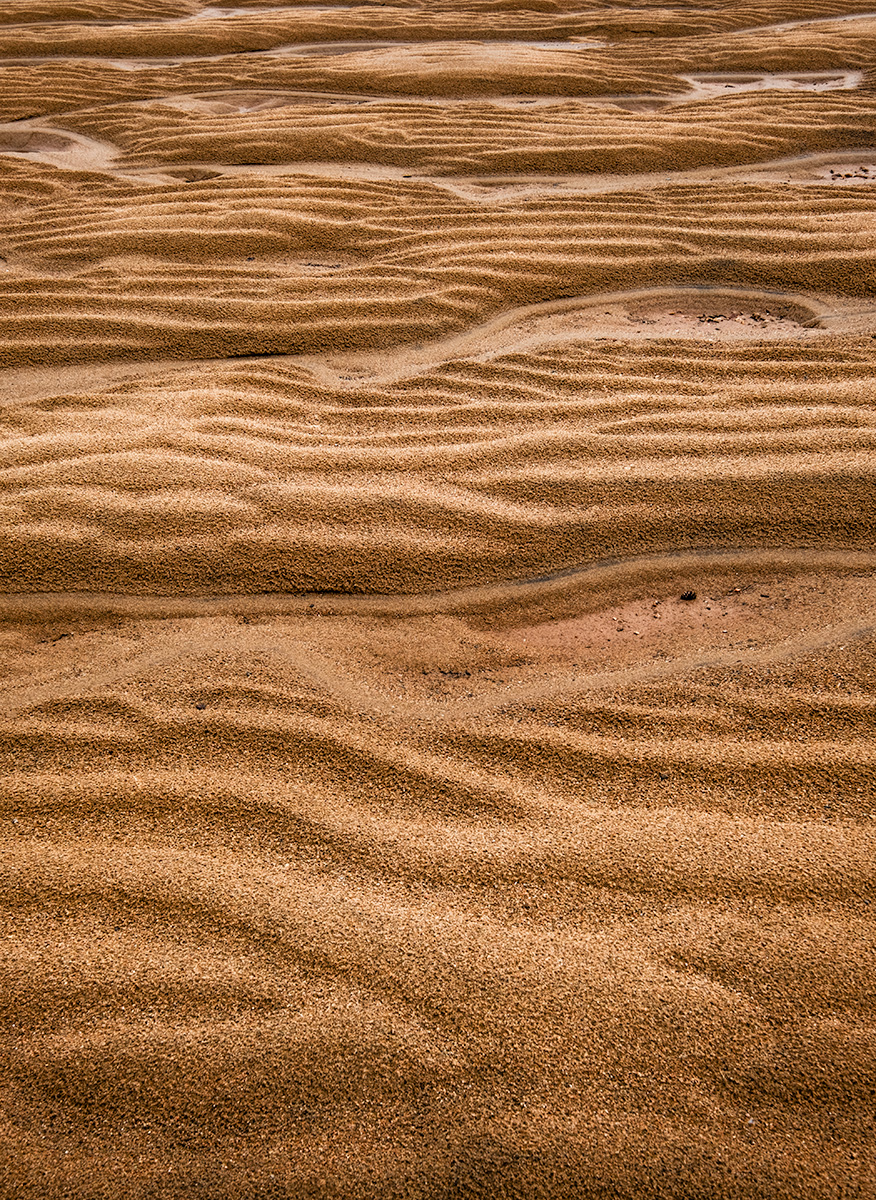 The Whims of Tide and Wave, Mary's Point, Shepody Wildlife Refuge, Bay of Fundy, New Brunswick, Canada