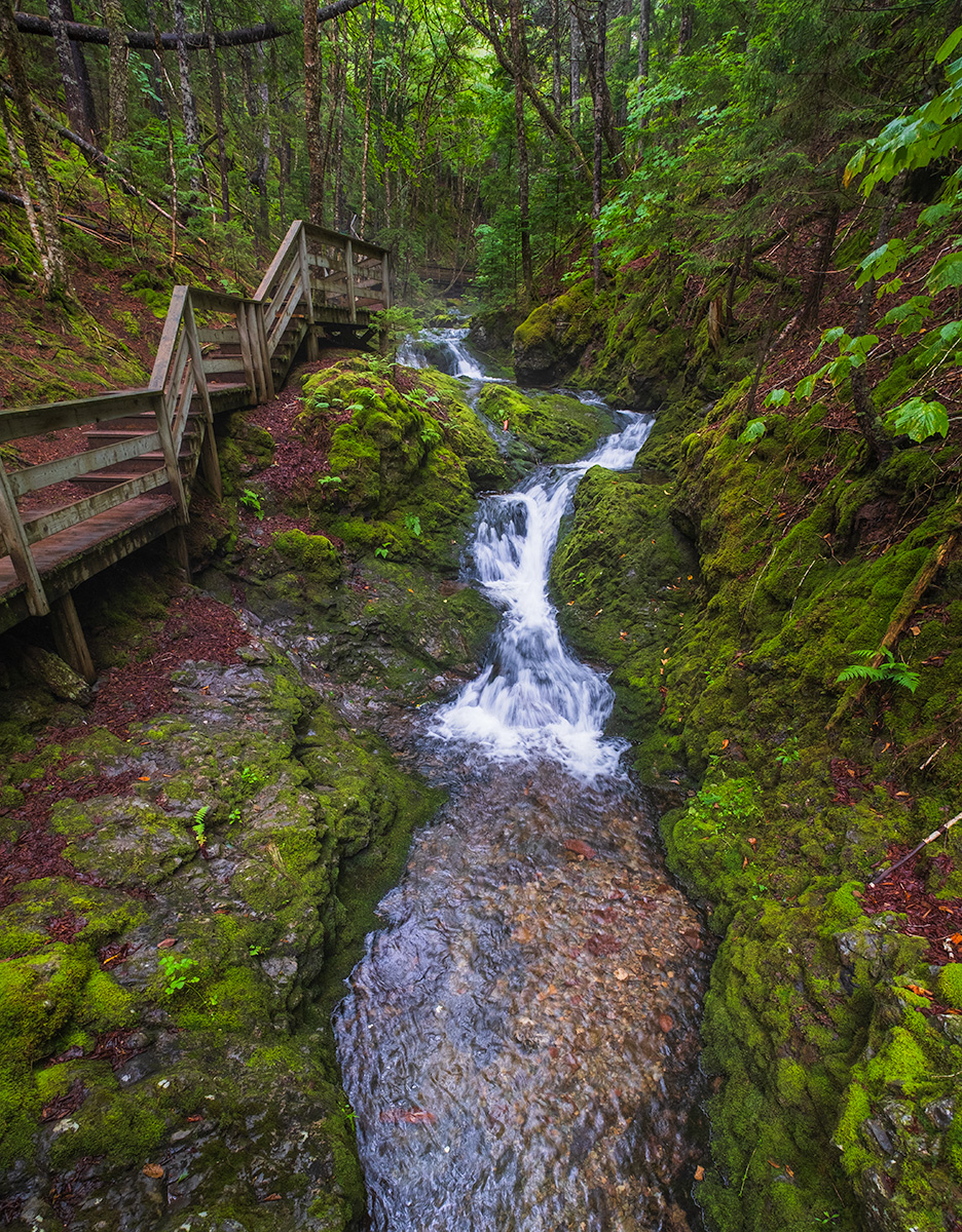Verdant Flume, Hell's Kitchen, Dickson Falls Trail, Fundy National Park, New Brunswick, Canada