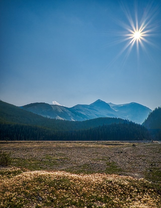 Hand in Hand, Icefields Parkway, Banff National Park, Alberta, Canada