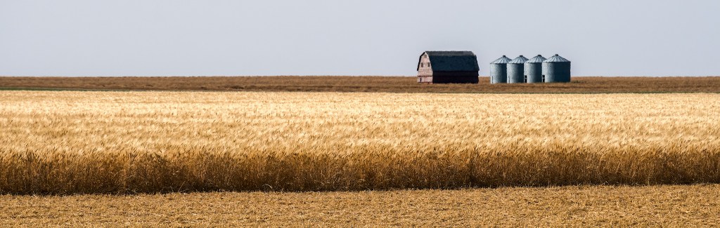 Summer Harvest, Grand Coulee, Saskatchewan, Canada