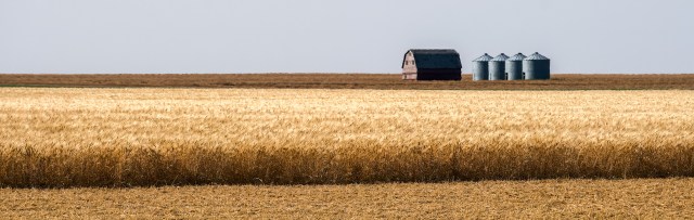Summer Harvest, Grand Coulee, Saskatchewan, Canada