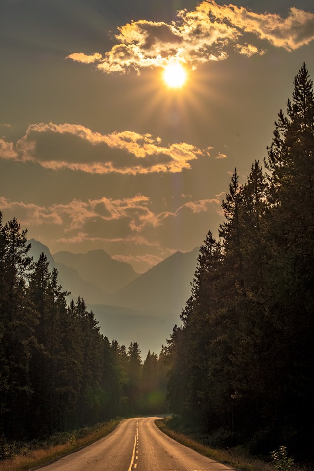 Suspended in Amber, Bow Valley Parkway, Banff National Park, Alberta, Canada