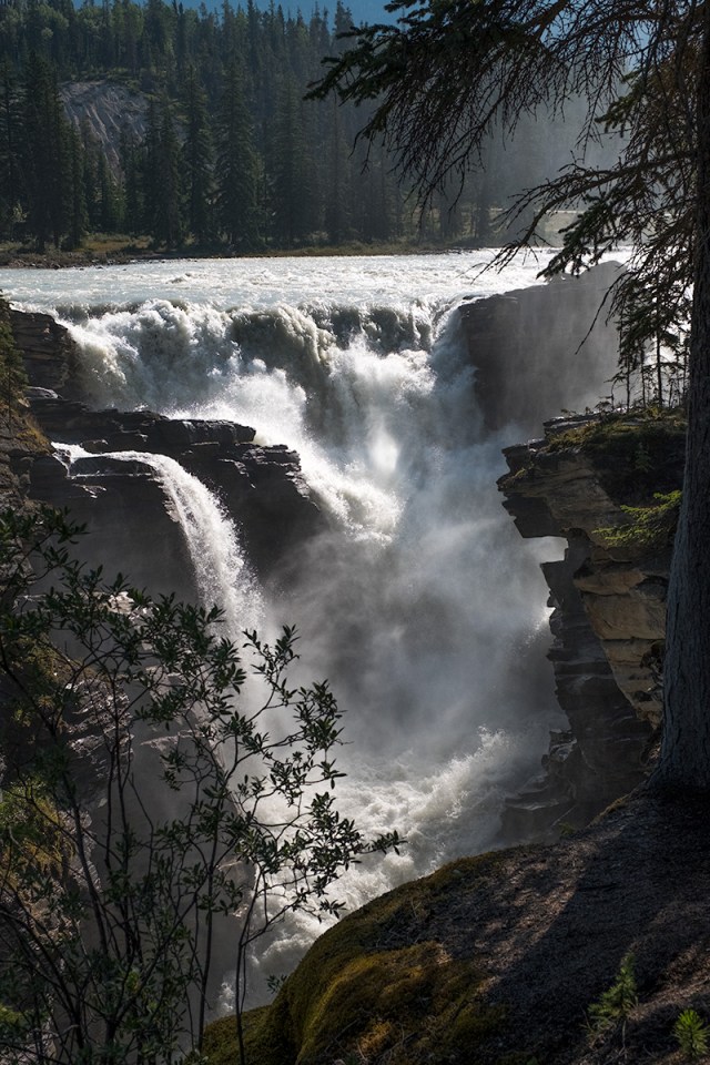 Tumble Down, Athabasca Falls, Jasper National Park, Alberta, Canada