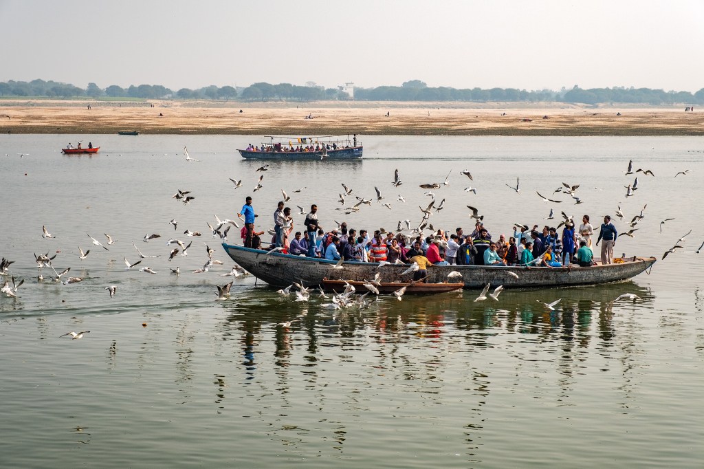 Harried by Sea Gulls, Tourist boat on the Ganges, Varanasi, Uttar Pradesh, India