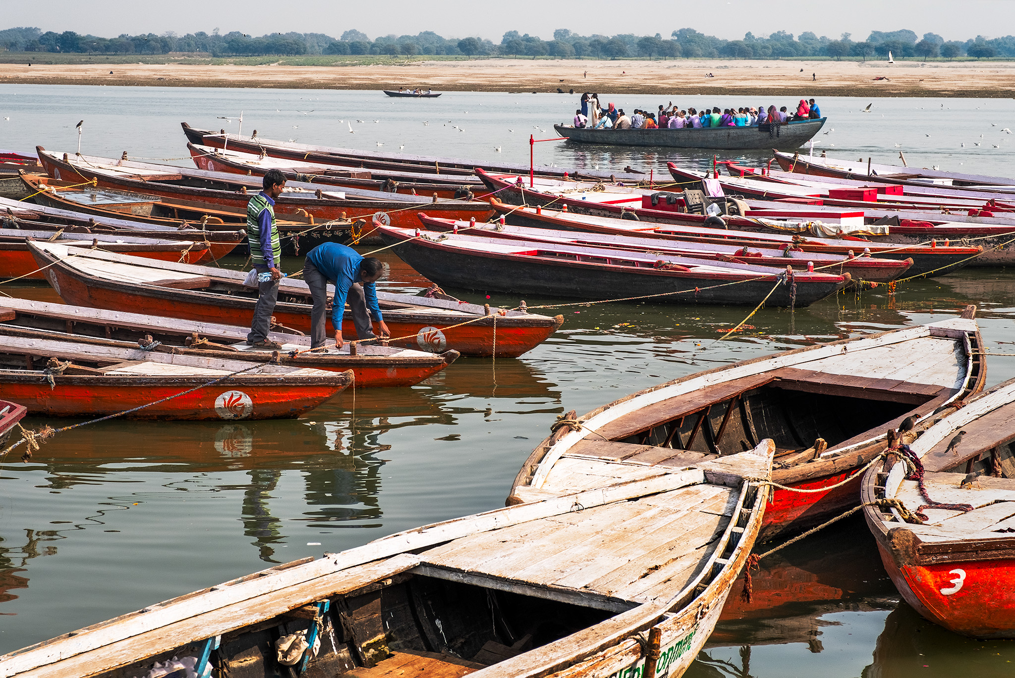 Reassurance, Tying Up, Ganges River, Varanasi, Uttar Pradesh, India