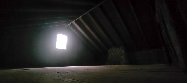 Abandoned or Empty, Cabin 2nd Floor, Panther Paintball, Surrey, British Columbia, Canada