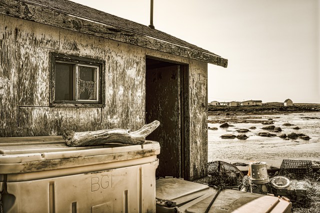 Detritus and Old Wood Shedding Paint, L'Anse Aux Meadows, Newfoundland, Canada